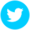 twitter-icon